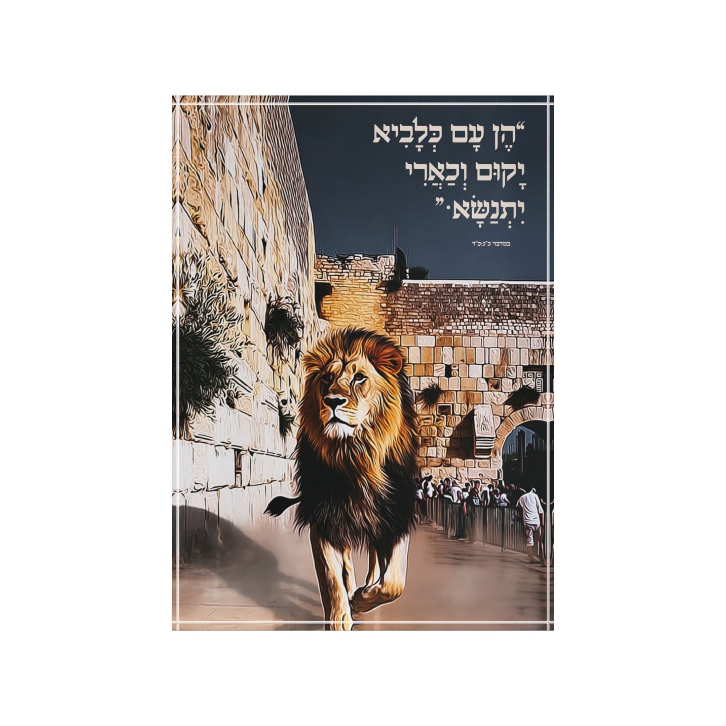 כְּלָבִיא