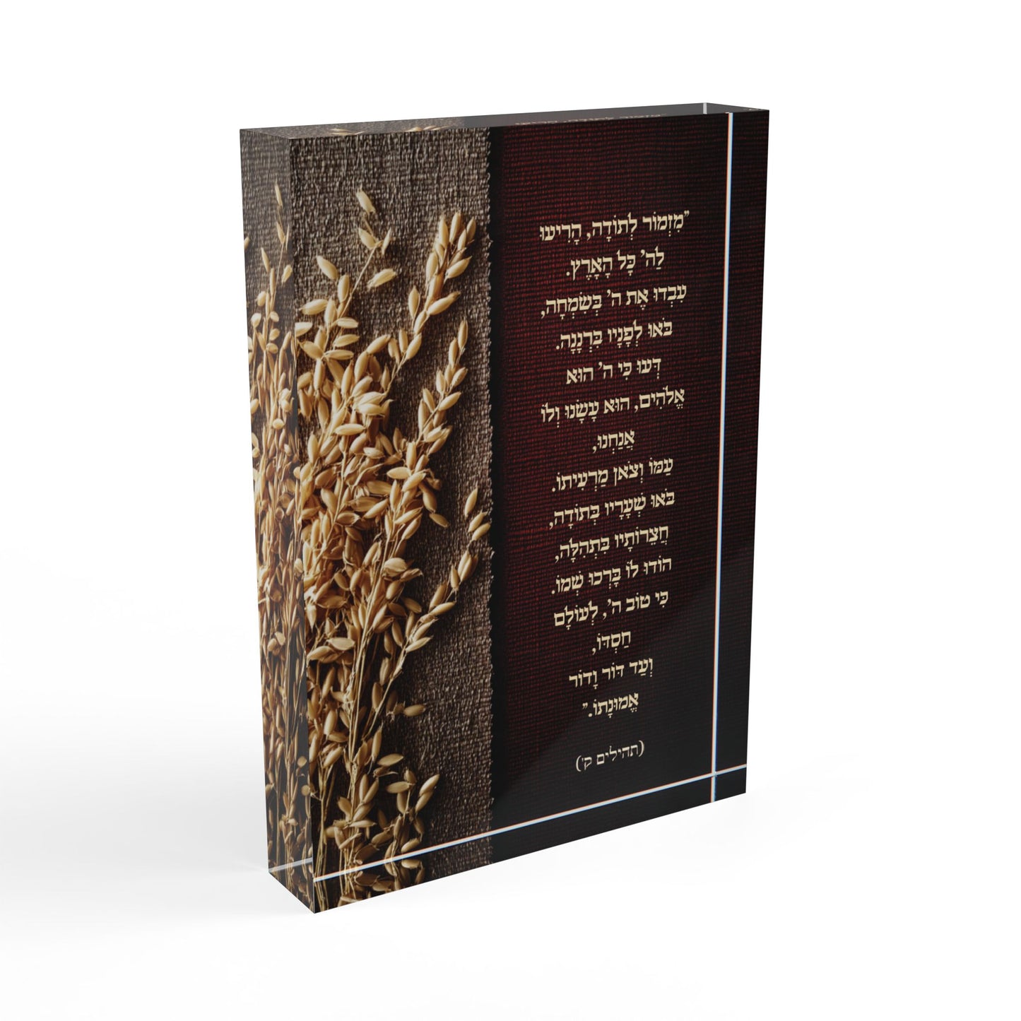 מִזְמוֹר לְתוֹדָה