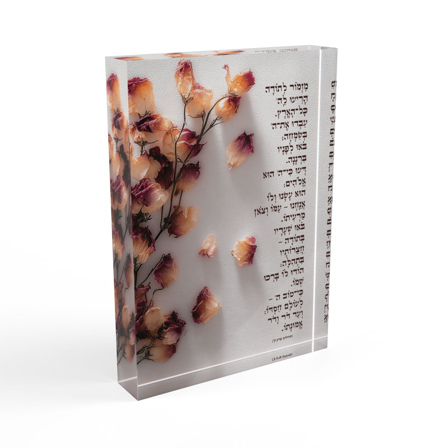 מִזְמוֹר לְתוֹדָה