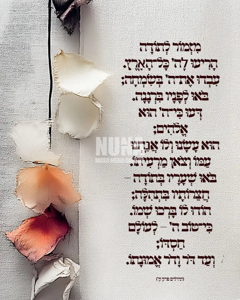 מִזְמוֹר לְתוֹדָה